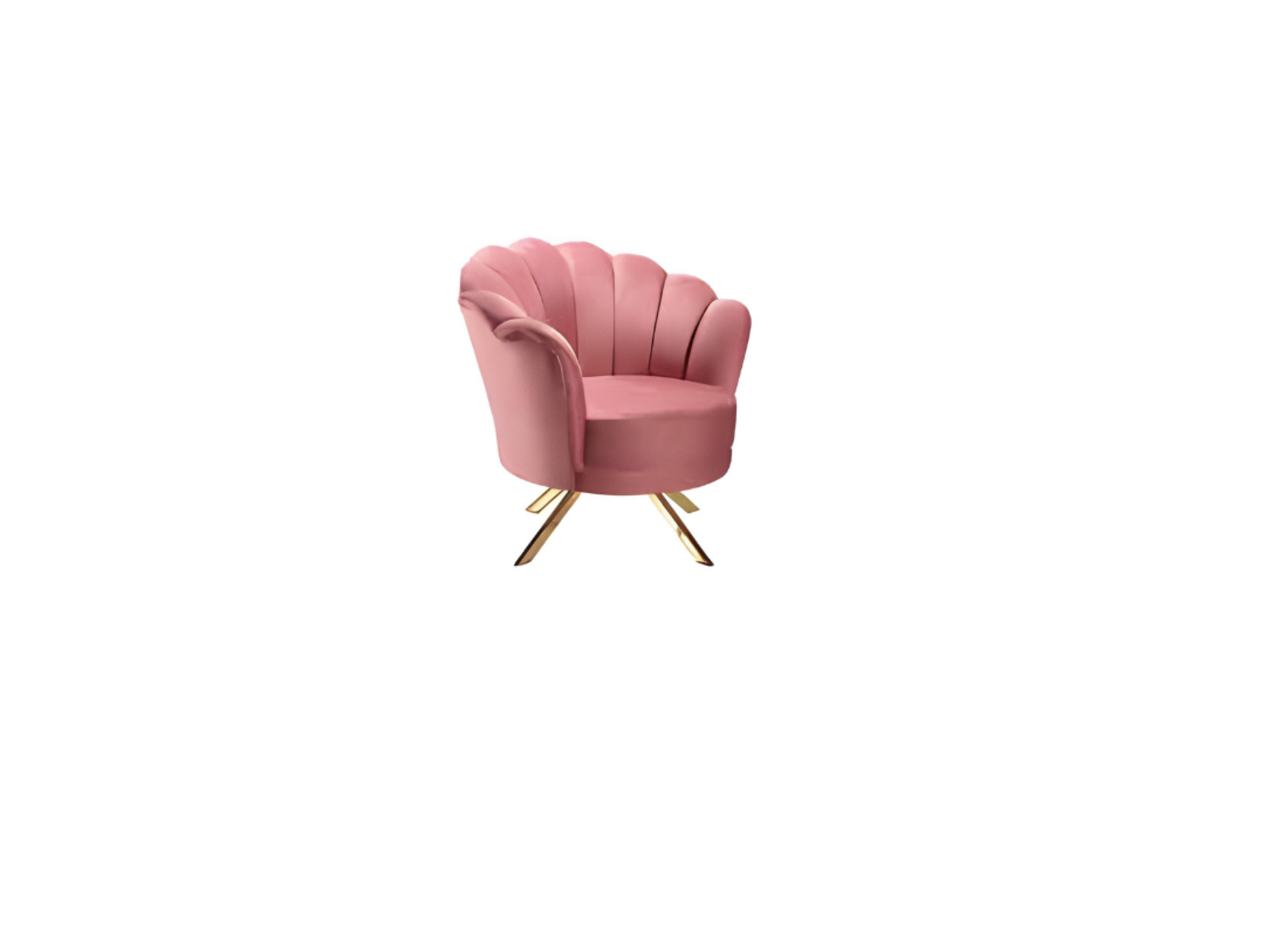 Artikel Bild