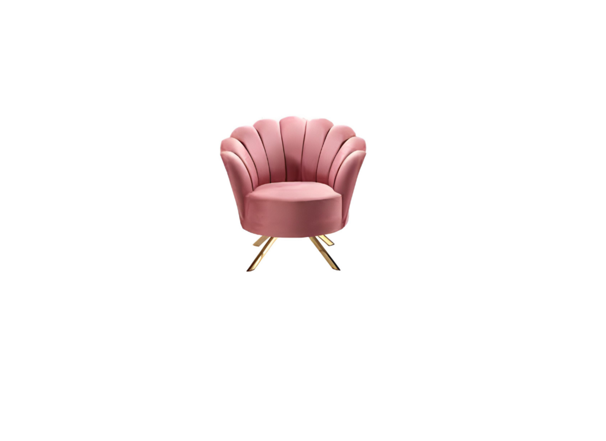 Artikel Bild