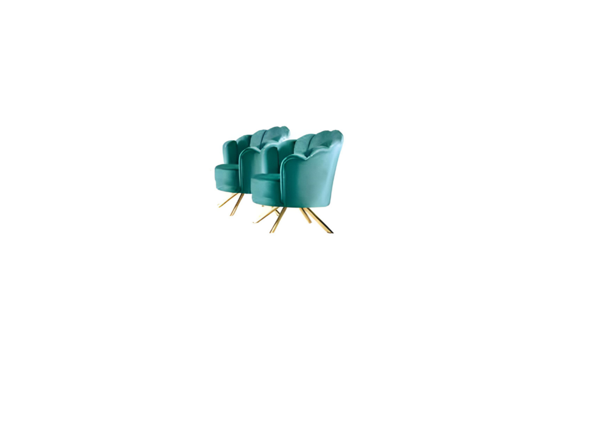 Artikel Bild