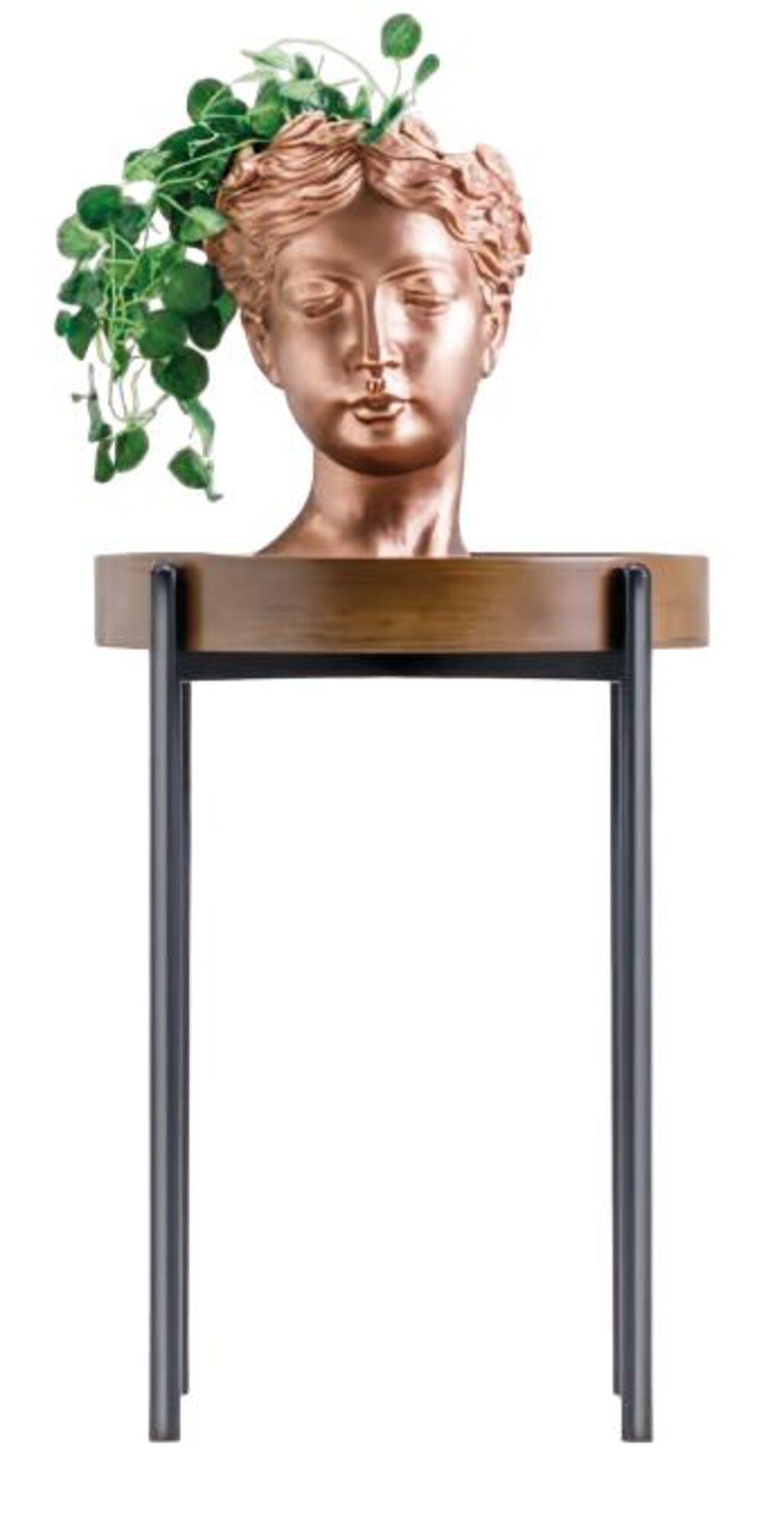 Artikel Bild