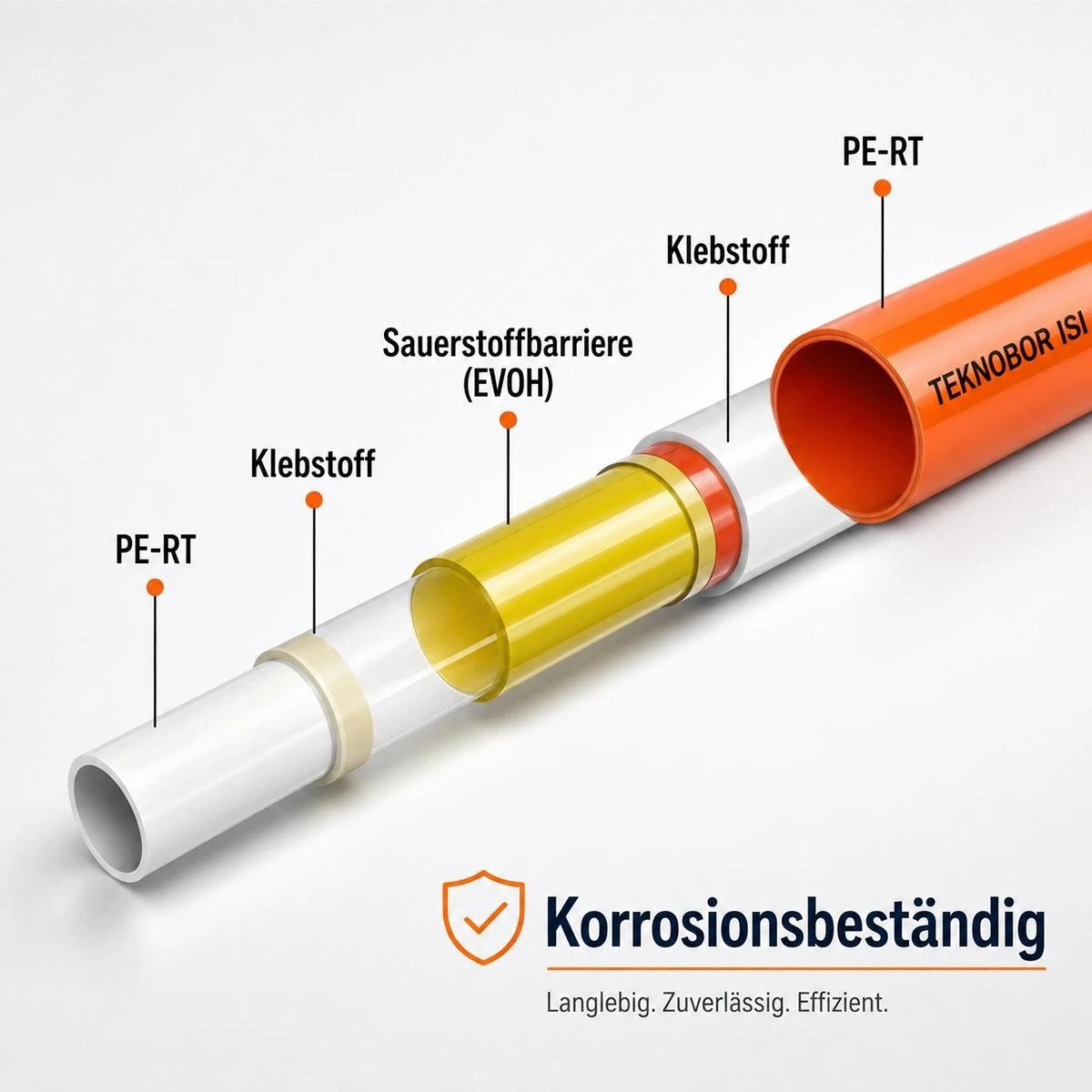 Artikel Bild